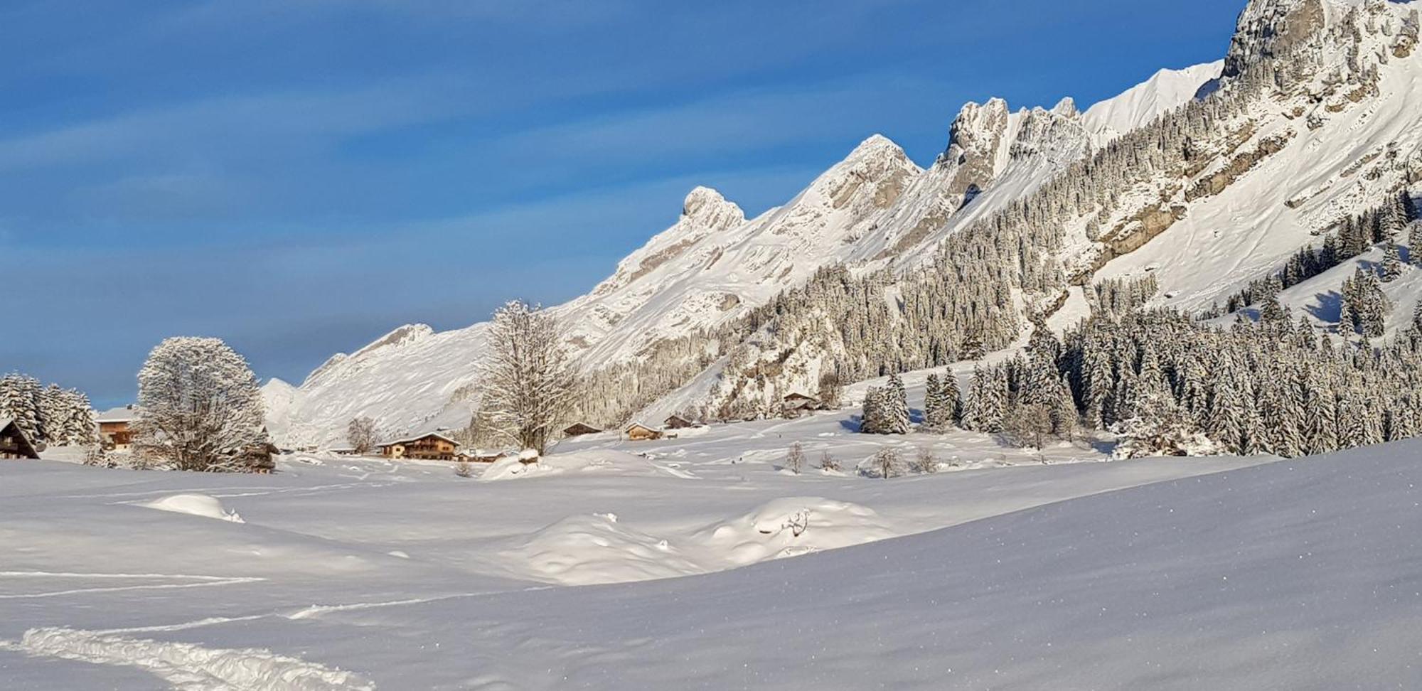 Appartement Cosy Face Aux Aravis رون - ألب المظهر الخارجي الصورة