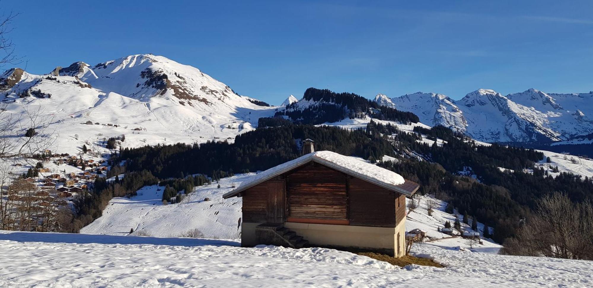 Appartement Cosy Face Aux Aravis رون - ألب المظهر الخارجي الصورة