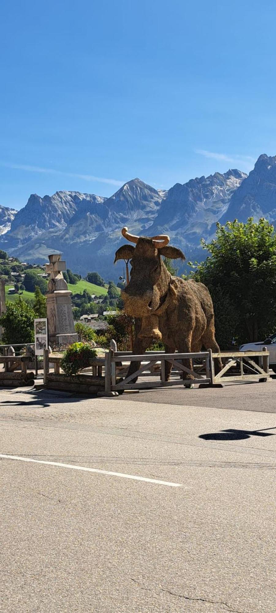 Appartement Cosy Face Aux Aravis رون - ألب المظهر الخارجي الصورة