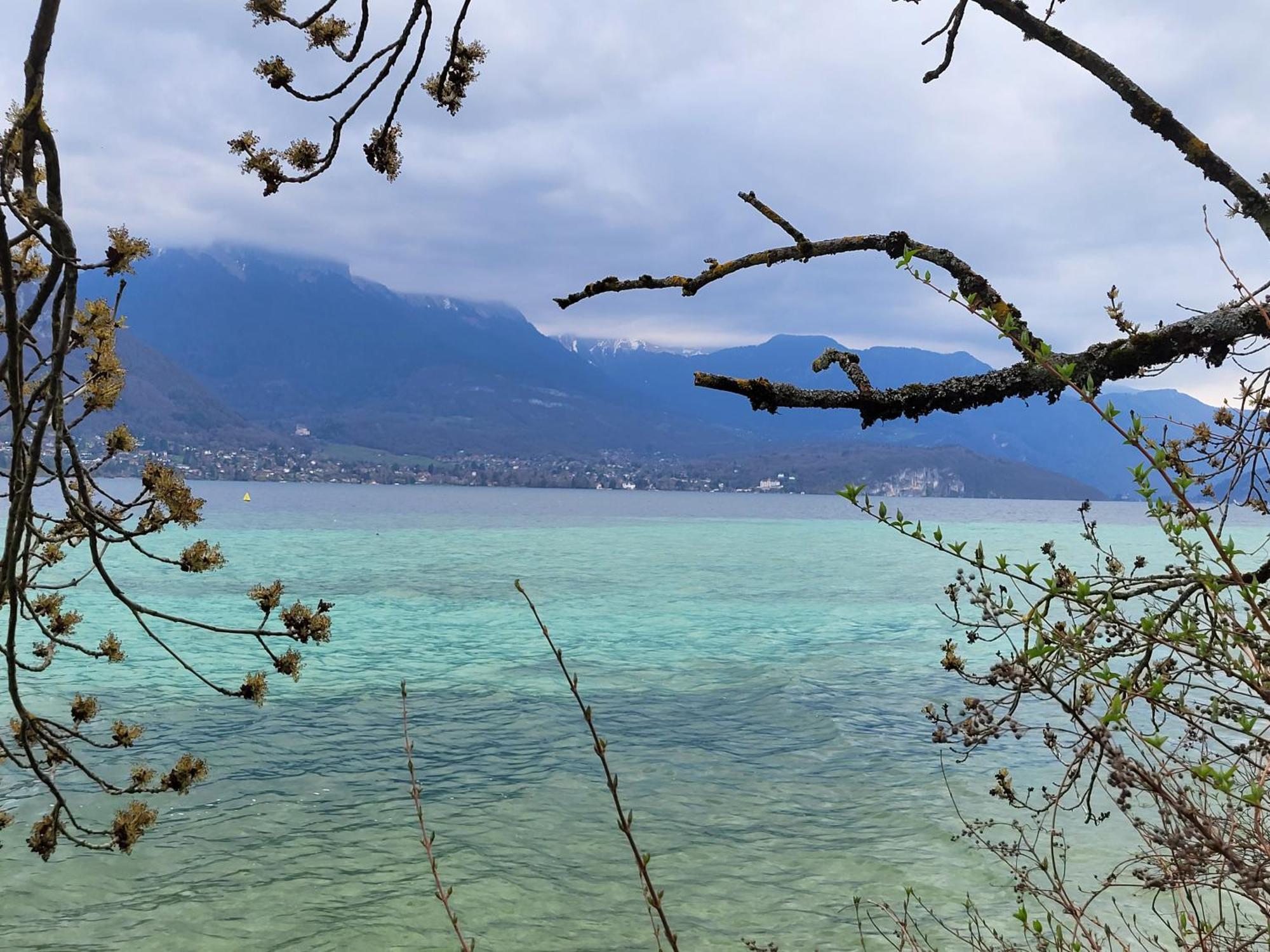 Appartement Cosy Face Aux Aravis رون - ألب المظهر الخارجي الصورة