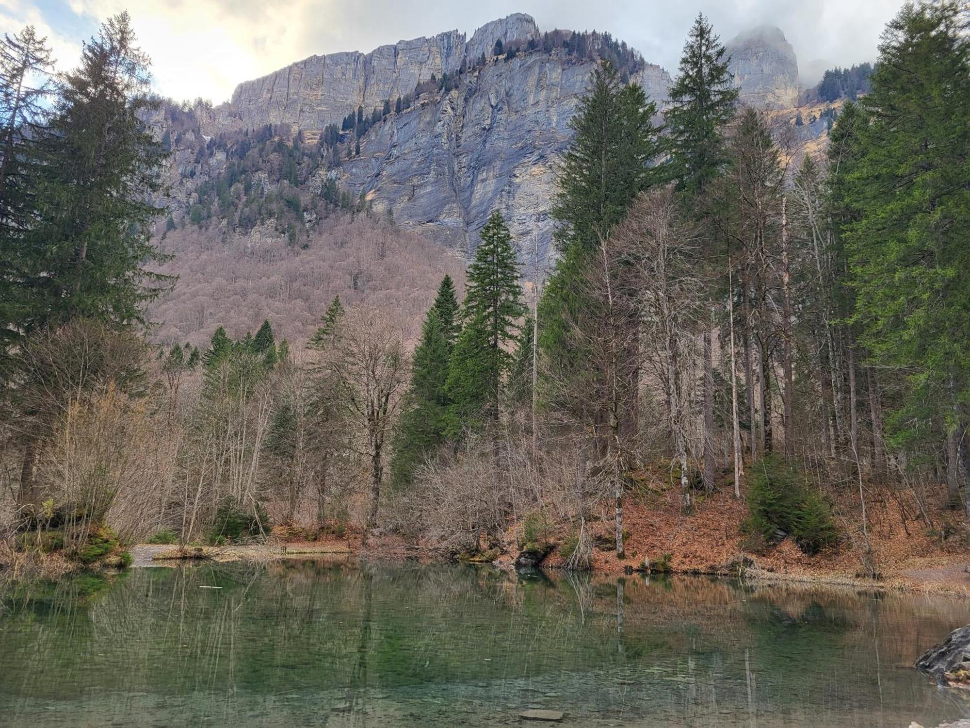 Appartement Cosy Face Aux Aravis رون - ألب المظهر الخارجي الصورة
